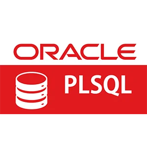 Best Oracle PL/SQL Training in Chennai