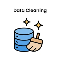 Data Cleaning Data Cleaning